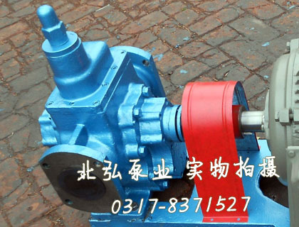 KCG-38/0.6高溫齒輪泵整機(jī)